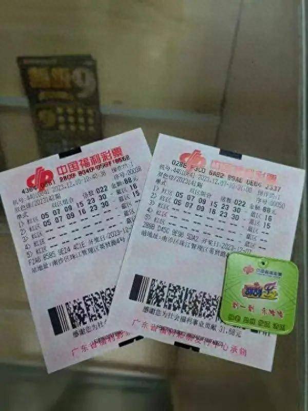 揭秘一肖三码，数字时代的幸运之选？