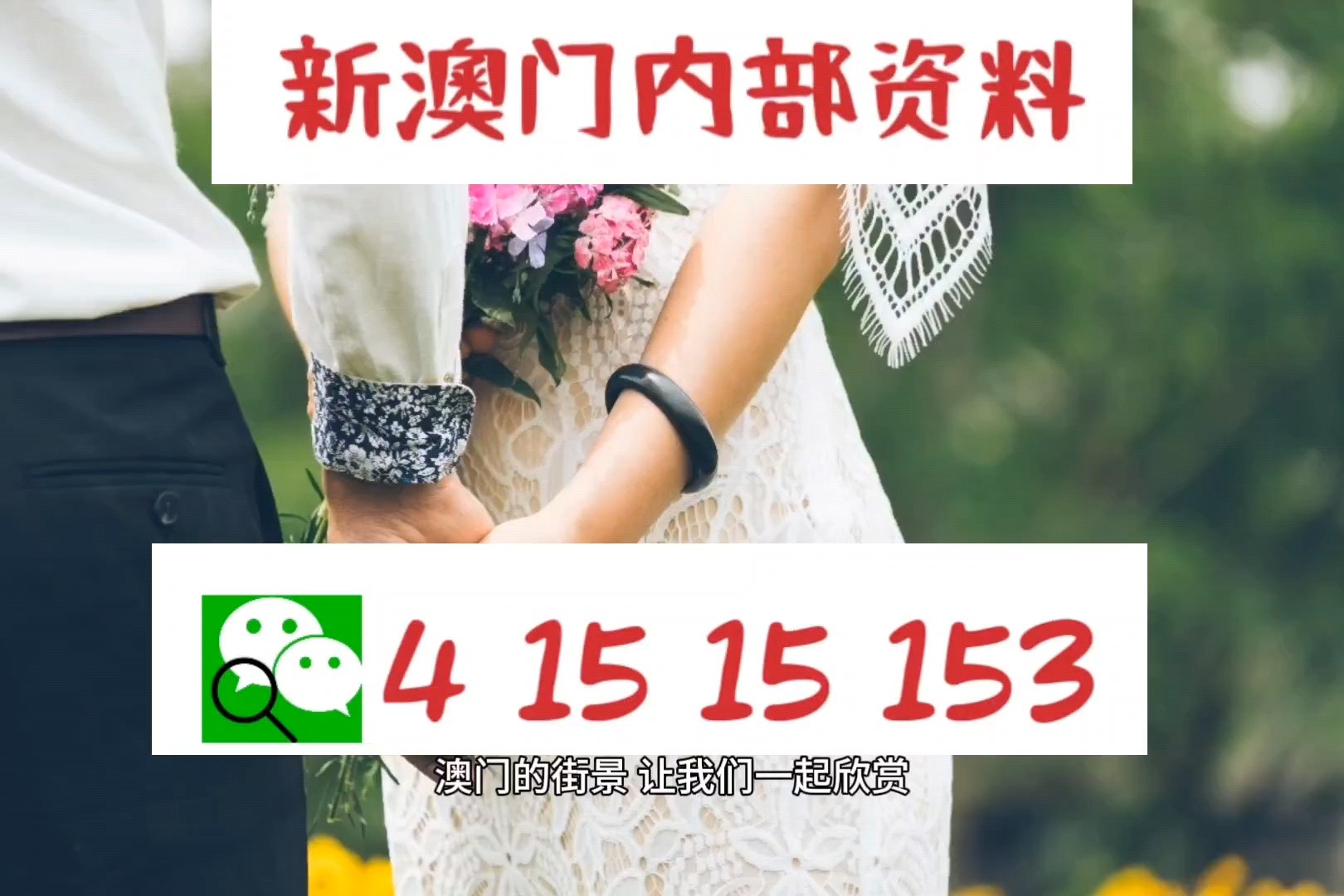 澳门三肖精准预测，揭秘背后的逻辑与误区