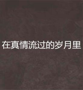 在过去的岁月里