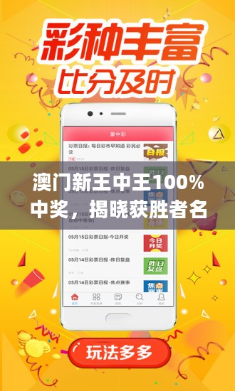 2048年新澳门王中王的神秘面纱，揭秘与展望