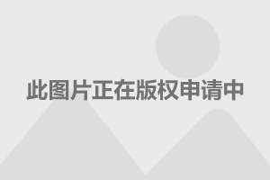 澳门789，揭秘王中之王的传奇与魅力