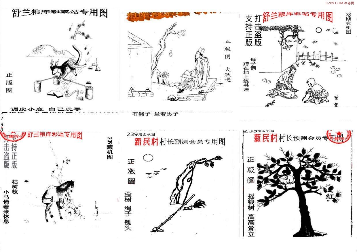 探索天牛3D图库，解锁三维视觉的无限可能