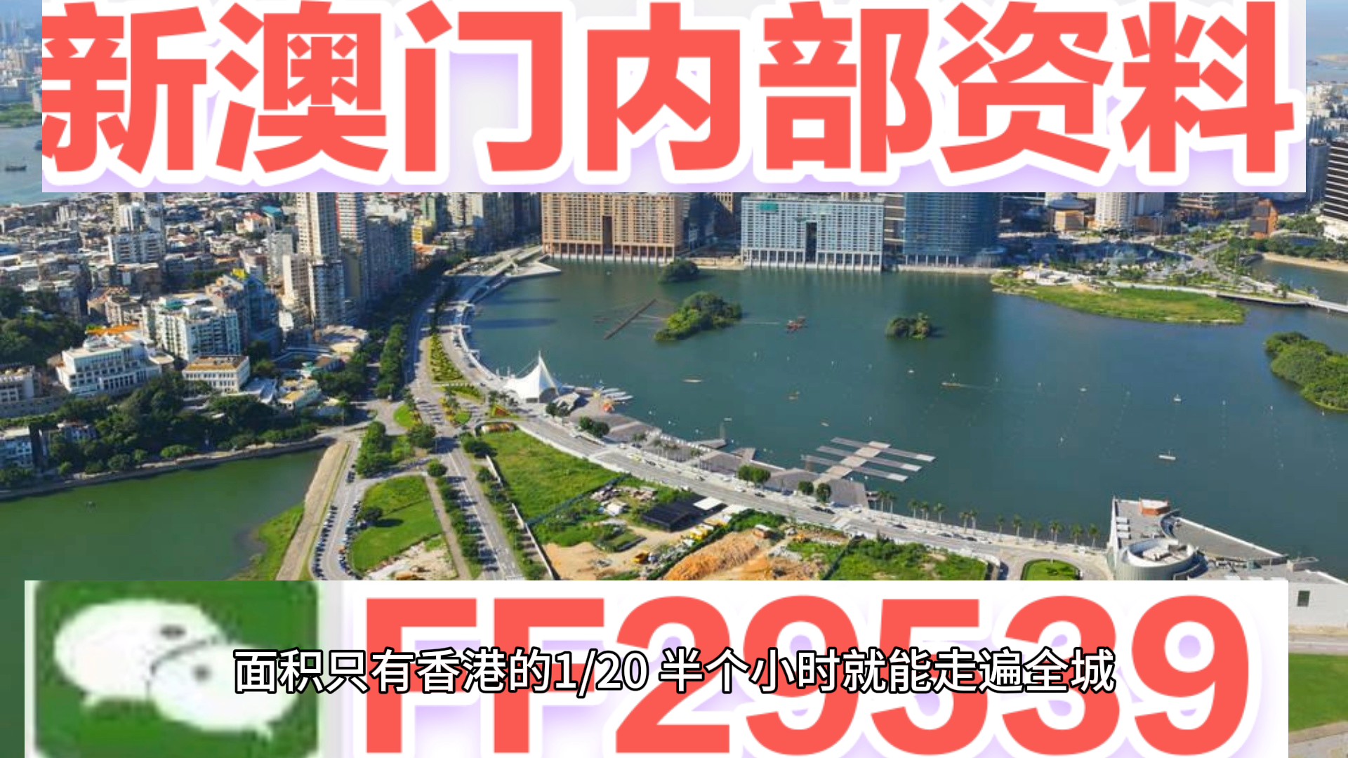 澳门彩市新气象，204年天天开好澳