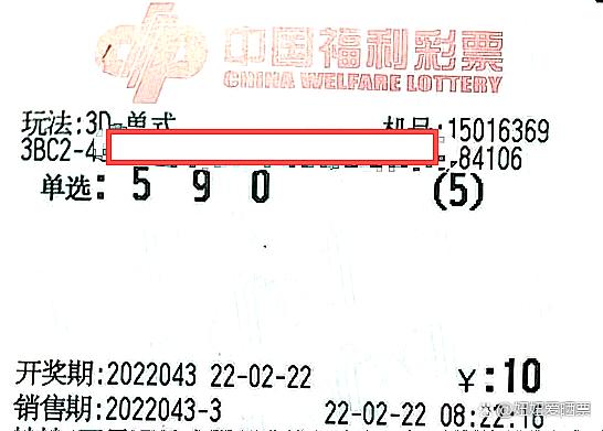 澳门彩今晚揭晓，49的魅力与随机性