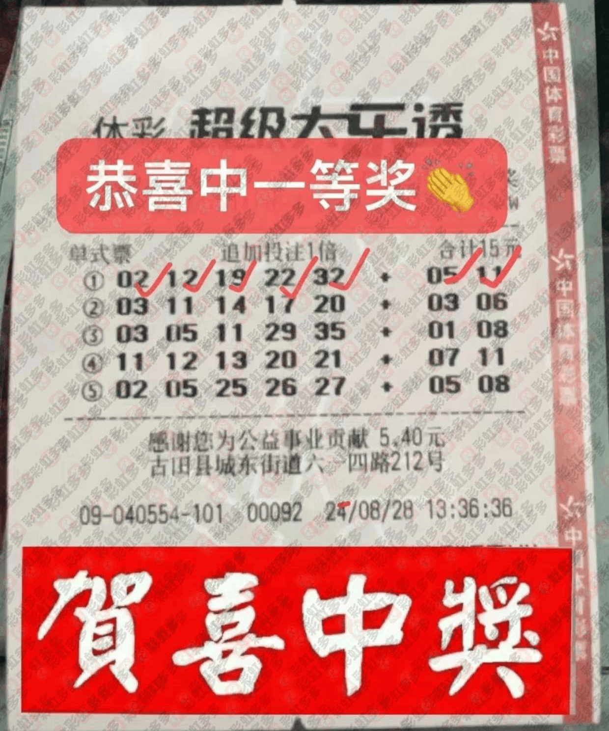 2046新澳门天天开好彩大全，正版指南与理性投注的智慧
