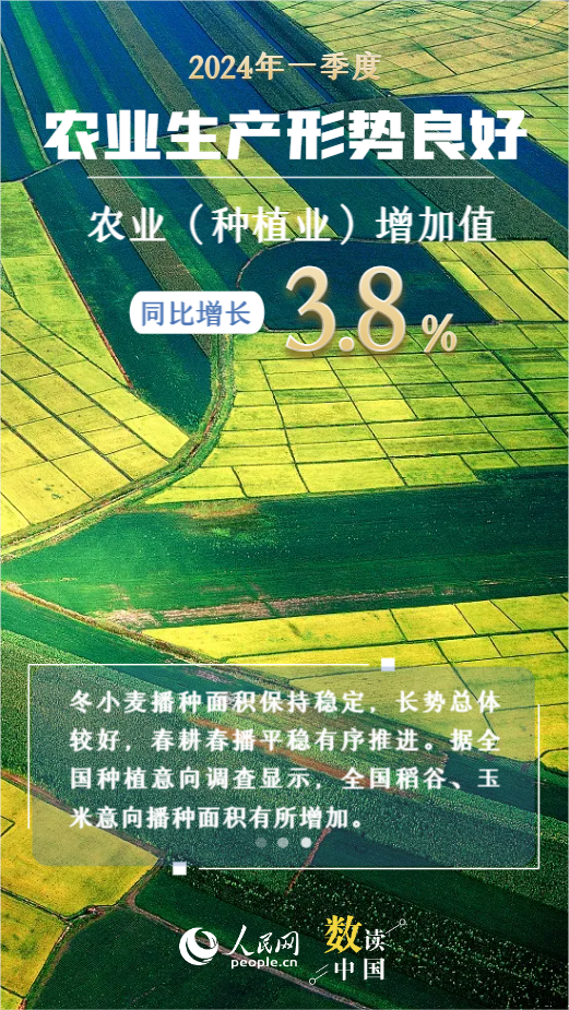 2043年澳门彩市新展望，天天开好数的奥秘