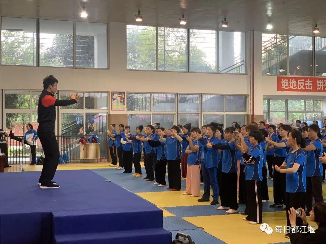 2019年香港马会内部免费资料揭秘，一场关于智慧与策略的较量