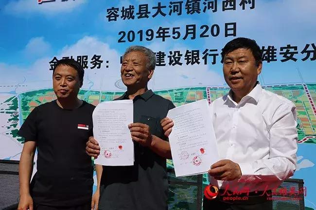 肖3码，一种独特的数字游戏与文化现象