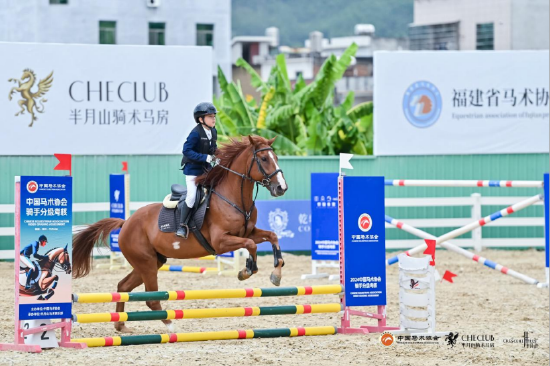 2019年香港马全年资料回顾，赛场风云与精彩瞬间