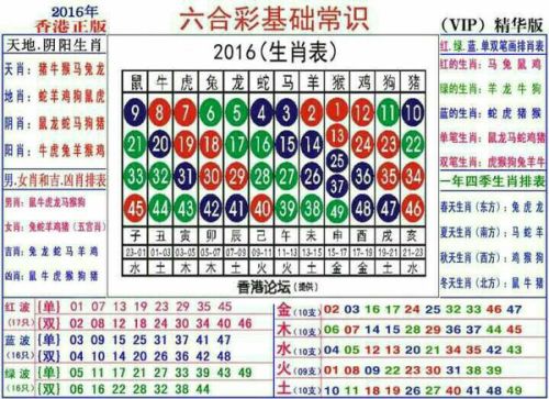 探索二肖3码的奥秘，解锁数字与生肖之间的奇妙联系