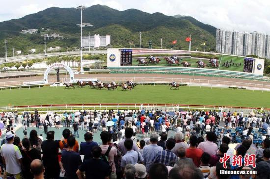 2031年香港马会内部免费资料，揭秘与展望