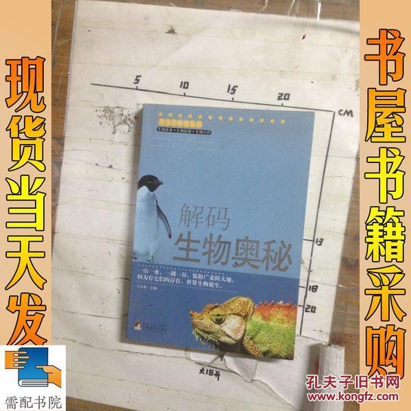 探索二肖3码的奥秘，解码数字背后的智慧与乐趣