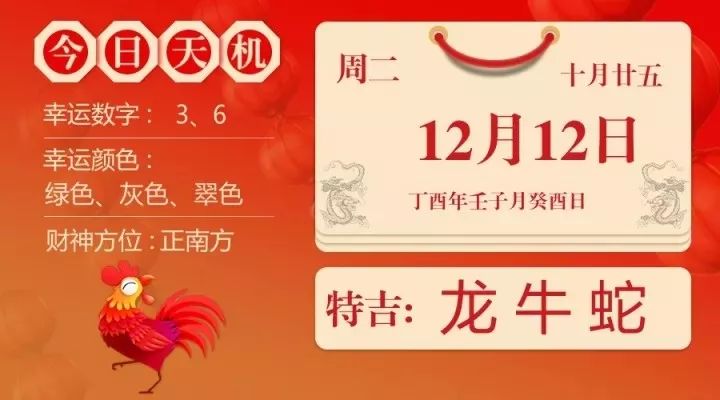 今晚一肖中特，揭秘生肖预测的奥秘与理性思考
