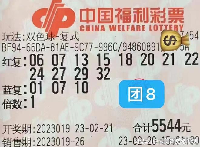 十九期双色球开奖号码，梦想与幸运的碰撞