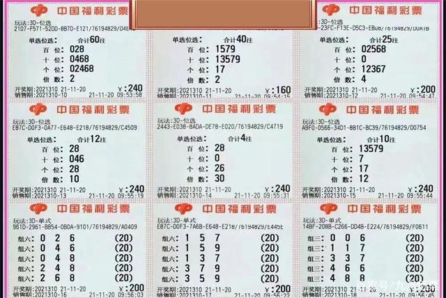 探索体彩20选5尾数走势图，理性与趣味的碰撞