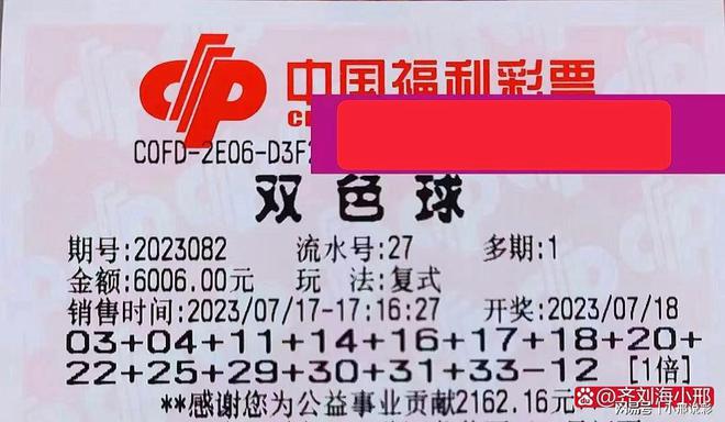 2031年，双色球—梦想与现实的交汇点