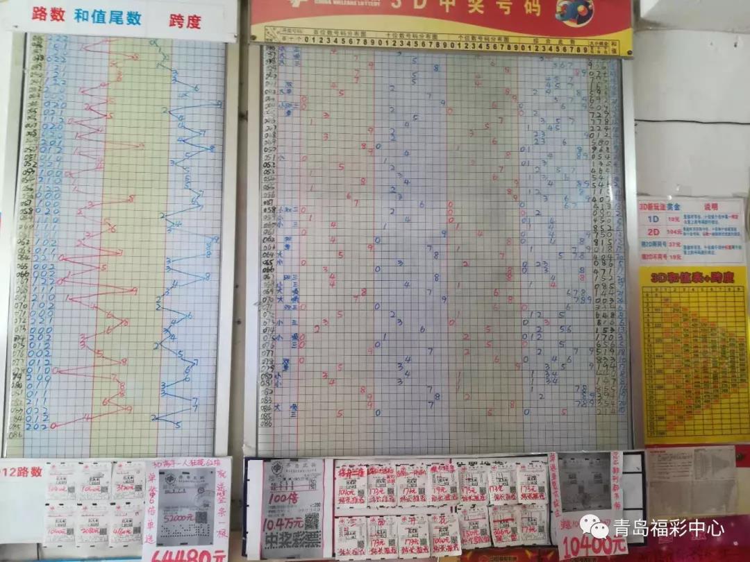 探索3D带连线专业版福彩乐趣，揭秘数字背后的幸运与智慧