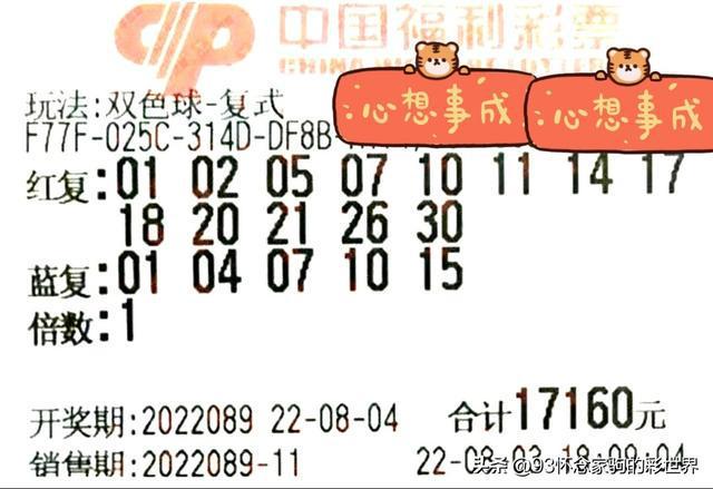 2019年第35期双色球开奖号码，幸运的数字与梦想成真的瞬间