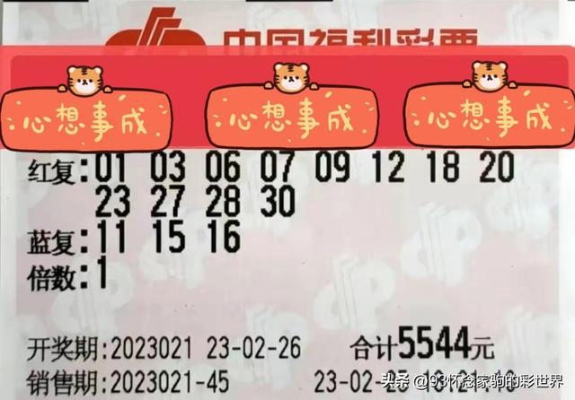 2035年，双色球中奖号码的奇迹与梦想