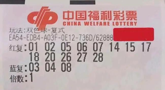 31期双色球福利彩票结果揭晓，梦想与希望的碰撞