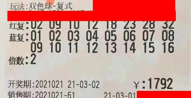 2013年双色球48期开奖结果，幸运的碰撞与梦想的实现