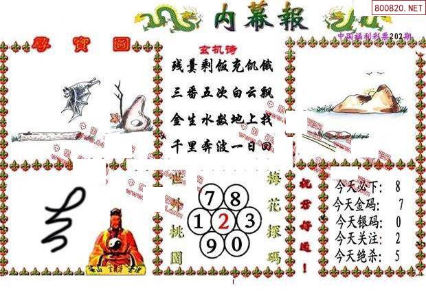 福彩3D012期丹东全图，揭秘数字背后的幸运与智慧