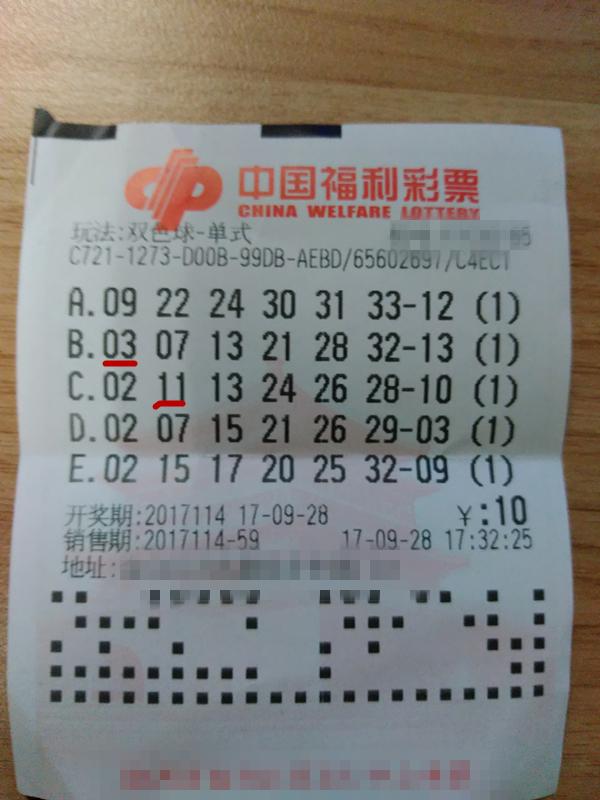 福利彩票双色球开奖公告，揭秘背后的故事与影响