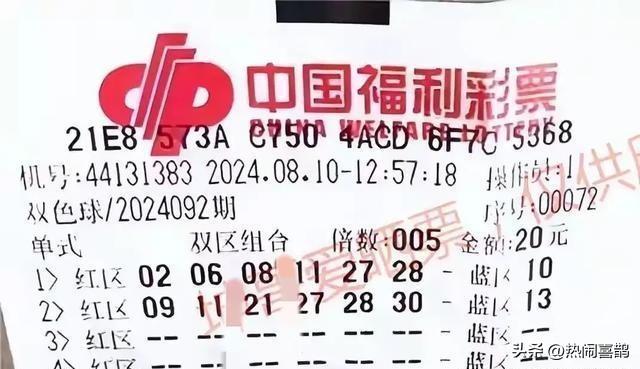 探索双色球中奖号码的奥秘，从查询到分析