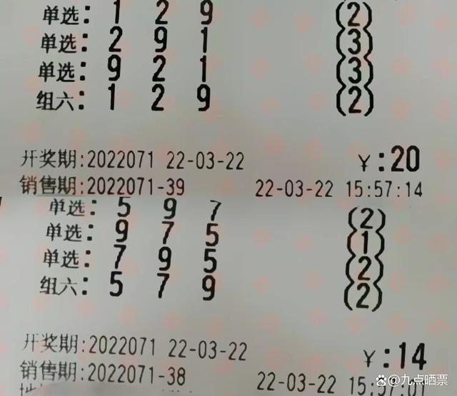 3D彩票，数字与运气的奇妙碰撞