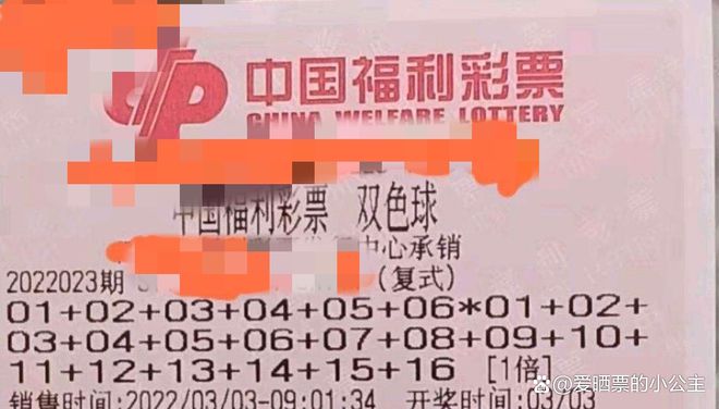探索双色球网站的奥秘，安全、便捷与乐趣的完美结合