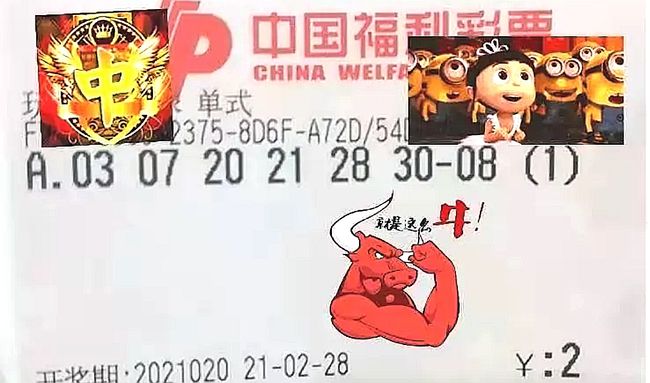 今日双色球开奖结果揭晓，梦想与幸运的碰撞