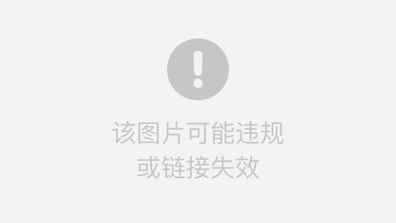 彩票走势图首页，揭秘数字背后的秘密与智慧