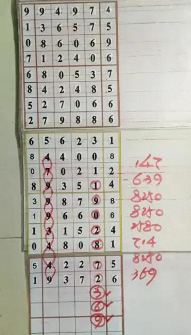 十五选五，揭秘开奖背后的数字魅力