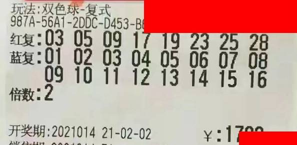 2019年双色球第3期，梦想与幸运的碰撞—揭秘开奖结果