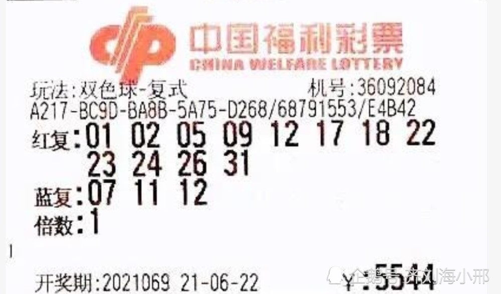 207,双色球开奖结果揭晓,梦想与幸运的碰撞