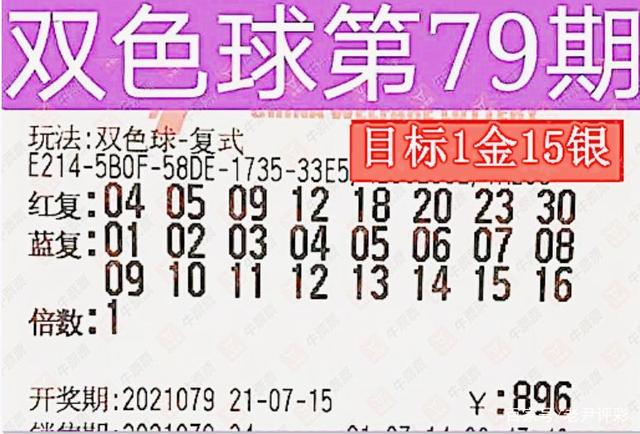 2019年双色球第35期，梦想与幸运的碰撞—揭晓第九次奇迹之选，共绘多彩人生开奖盛况