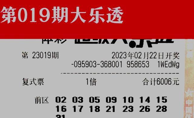 体育彩票61开奖结果，梦想与现实的碰撞