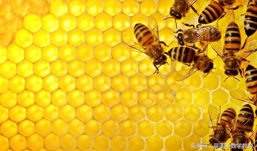 福彩3D中奖规则详解，揭秘数字游戏的幸运密码
