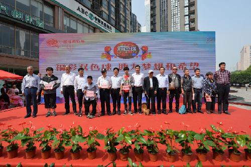 探索中国福利彩票网，公益与梦想的交汇点