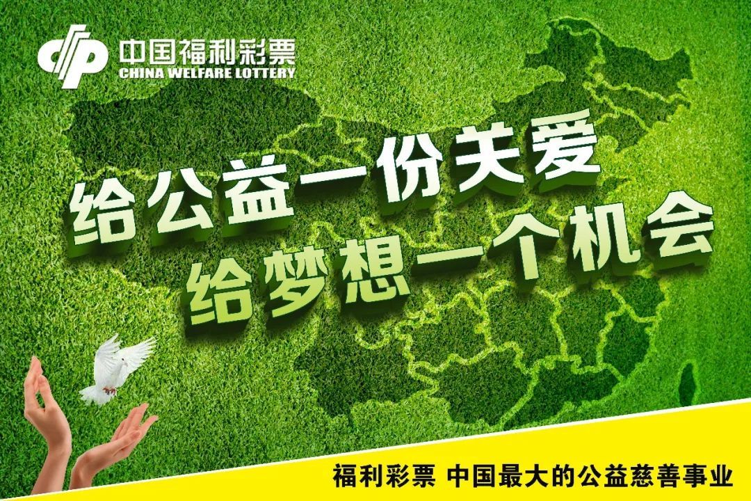 探索中国福利彩票网站，公益与幸运的交汇点
