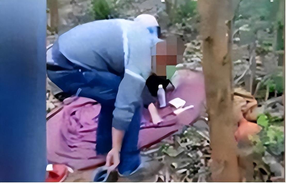 广西12选5，探索地方彩票的独特魅力与影响