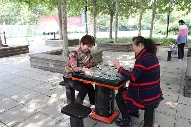 山东省体彩网，公益与梦想的交汇点