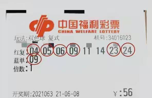 揭秘南国彩票41，数字背后的幸运与机遇