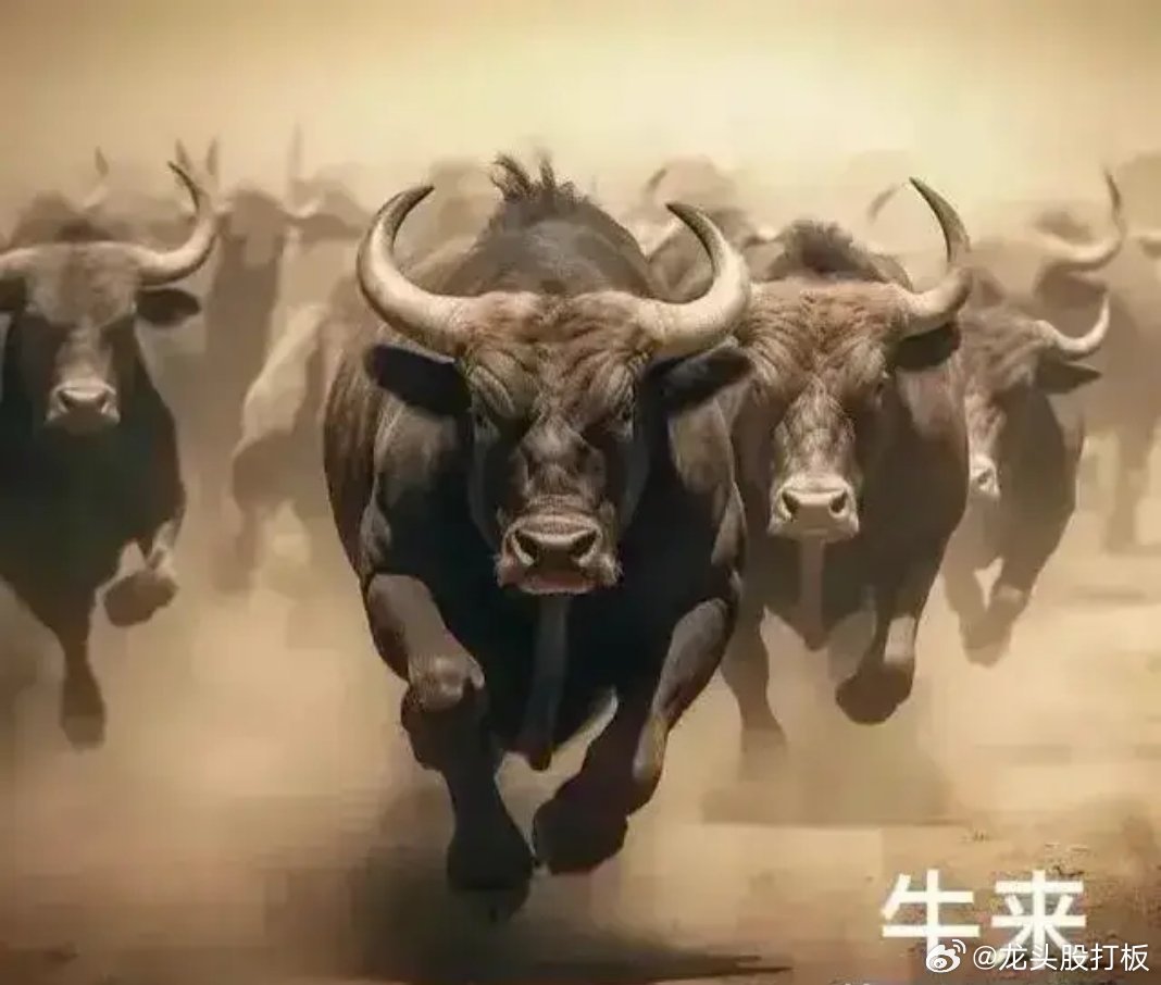 河北十一选五,揭秘一定牛的背后逻辑与策略