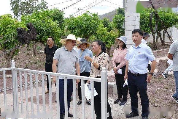 体育彩票怎么玩，从入门到进阶的全面指南