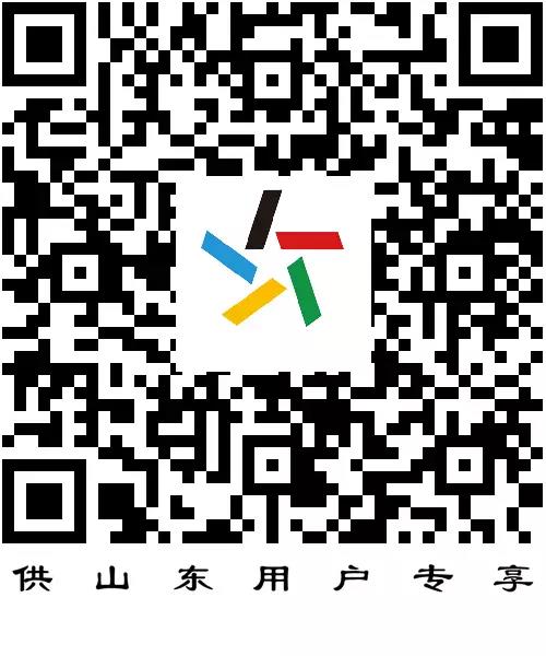 齐鲁风采彩票，山东人民的幸运之选
