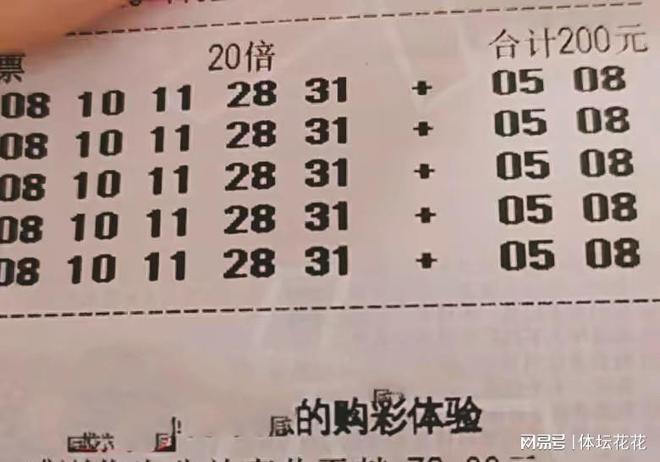 探索大乐透开奖走势，数字背后的奥秘与策略