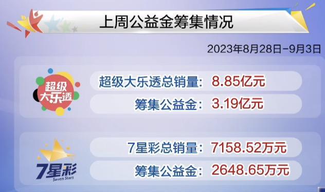 彩票开奖结果今天查询，揭秘背后的故事与注意事项