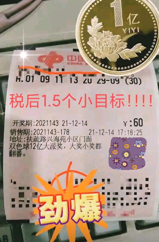 揭秘双色球，号码开奖结果背后的奥秘与乐趣