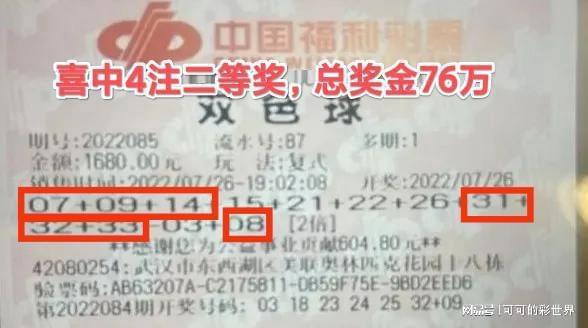 探索双色球，揭秘查询技巧与中奖奥秘